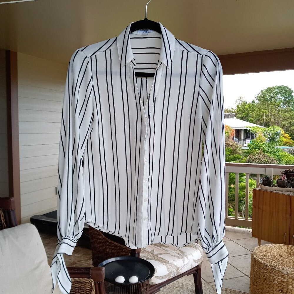 Striped Dress Blouse